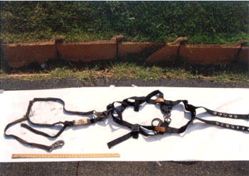 Fatal Investigation Photo