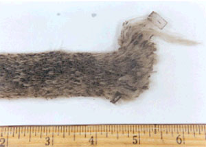 Fatal Investigation Photo
