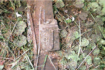 Fatal Accident Report Photo