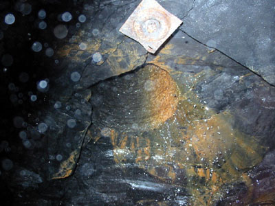 26 Inch Rescue Hole